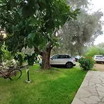 Niriton Brand New נידרי
