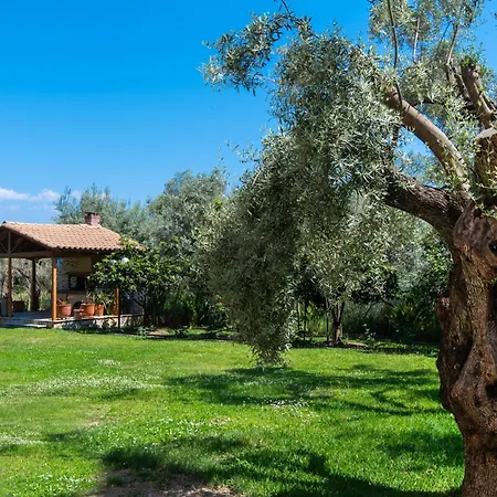 Апартаменты Niriton Brand New *