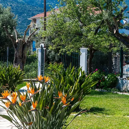 Niriton Brand New * Nydri (Lefkada)