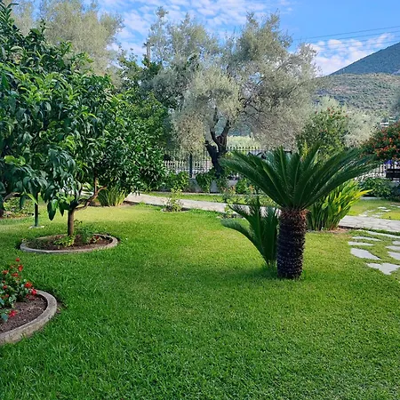 Niriton Brand New Apartment *