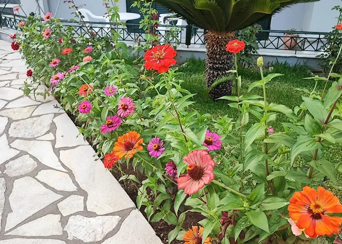 Niriton Brand New Apartment *