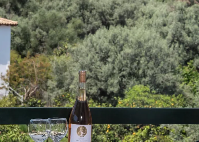 Apartment Niriton Brand New