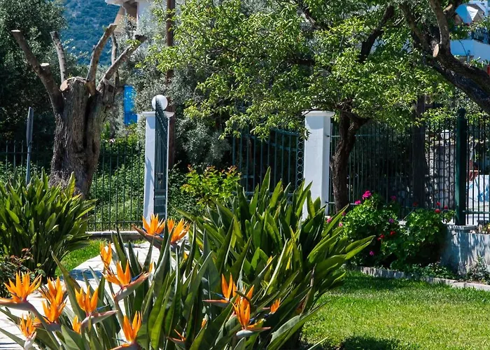 Niriton Brand New * Nydri (Lefkada)