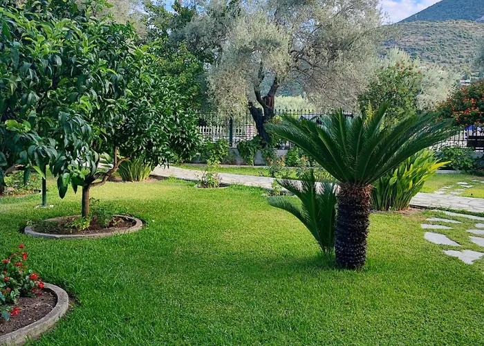 Niriton Brand New Apartment *